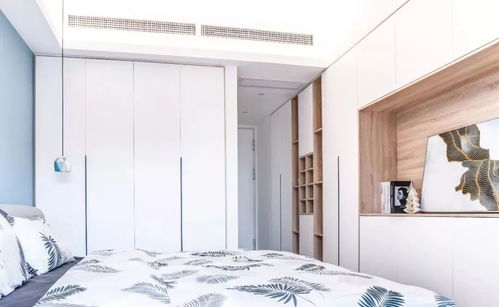 衣柜背后的秘密：一场意想不到的发现