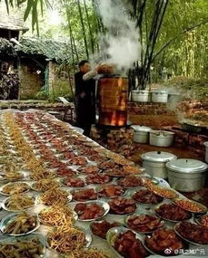 四川泸州新规：坝坝宴不得使用四季豆，背后有何深意？