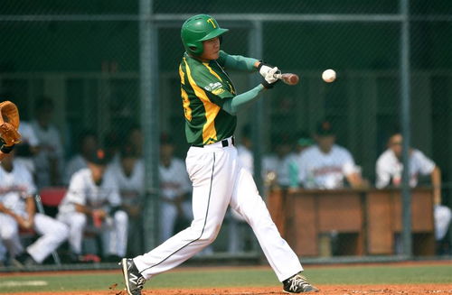 中国棒球职业联赛：从现状到未来，我的棒球梦之旅