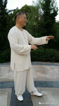 手挥琵琶：杨丽的太极拳修行之旅