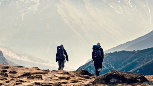 坚持热爱，让人生闪耀光芒