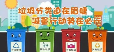 垃圾分类从我做起：一个普通人的实践与思考