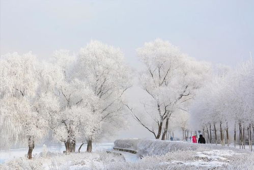 女子大雪天挑战张家界168米天梯，背后的故事令人动容