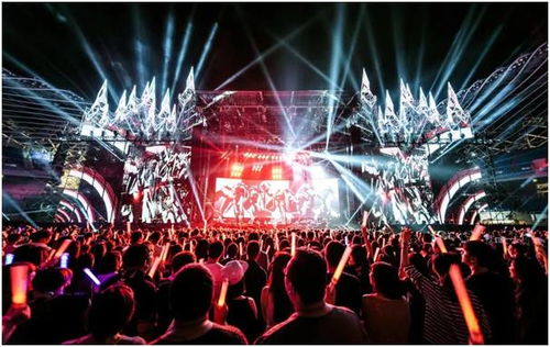 一定要会应援才配看演唱会吗？