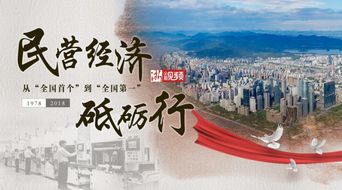 中国民营经济：为世界注入春天的活力