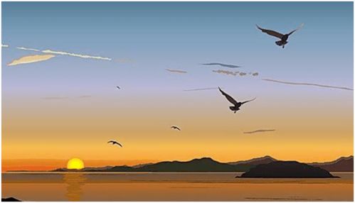 你当像鸟一样飞往你的山：我的成长蜕变之旅