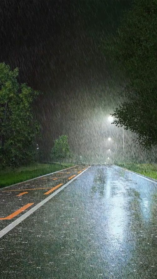 大雨滂沱中的坚守：一场与自然的对话