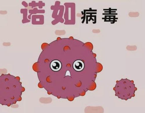 诺如病毒会传染吗？亲历者告诉你真相！