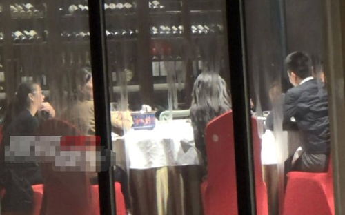 陈好一家与好友聚会，岁月静好的背后是幸福的延续