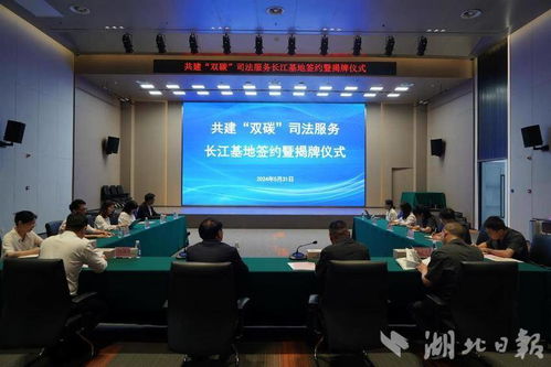 中菊资产管理有限公司的崛起之路：她如何引领行业创新与价值创造