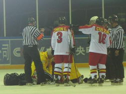 亚冬会中国队狂揽32金居榜首，海外华人怎么看体育赛事直播？