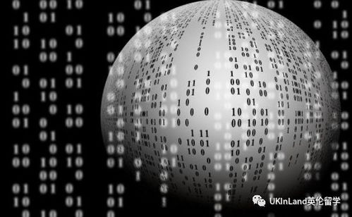 万物皆为数：探索算法背后的真相与思考