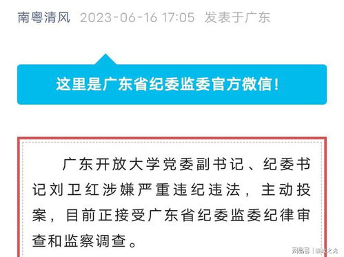 高校反腐风暴：主动投案背后的深思