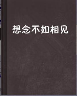 想念不如相见：那些年，我们错过的时光