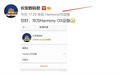 微博尝鲜计划：从普通用户到自媒体大V的蜕变之路