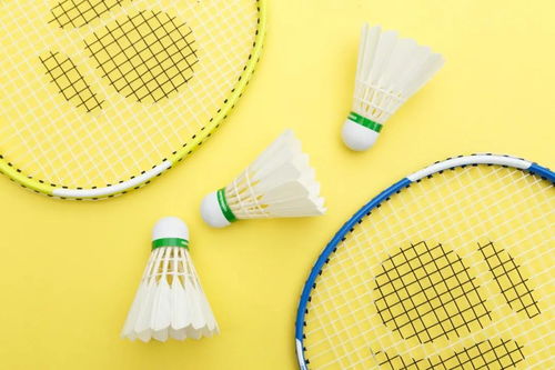 燃烧卡路里，从今天开始的室内有氧操之旅