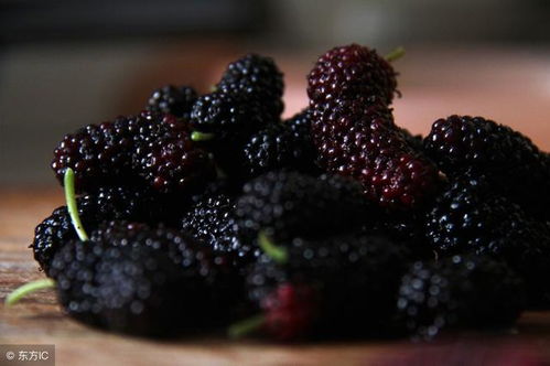 肉桂泡酒能喝吗？正确搭配与泡制方法，打造专属养生药酒