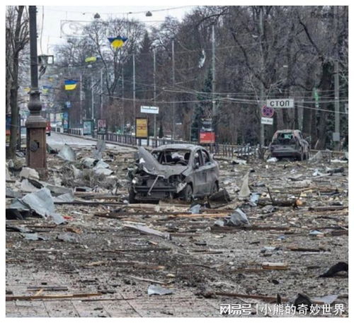 俄乌冲突最新战况：专家解读与未来展望