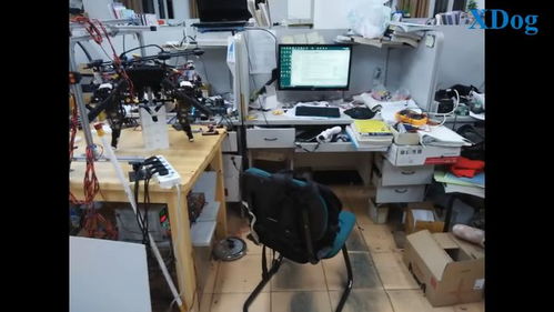 王兴兴与G1机器人：科技与艺术的完美融合