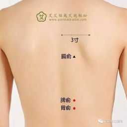 雨水节气话养生，健脾和胃祛湿，这些穴位不可少！