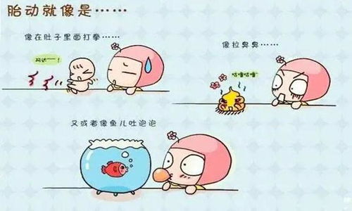 硅基胎动：当科技遇见生命的律动