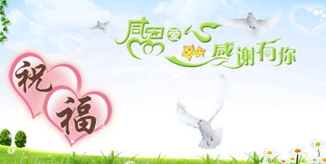 感恩的力量：从点滴中领悟生活的真谛