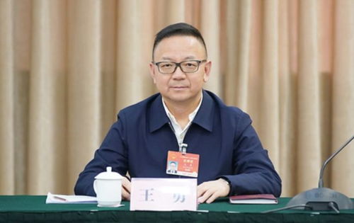 深度解析：李勇案背后的利益链条与反腐决心