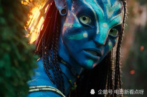 阿凡达票房为何稳居第一：从个人视角解读全球影史奇迹