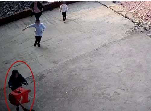 惊险一幕：六旬阿姨扫地踩穿楼板，掉入邻居家！背后真相竟是白蚁？