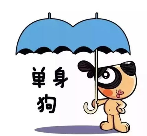 情人节那些事：61老师与TA的情人节故事