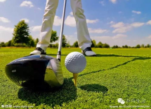 网球：一项需要高智商的运动