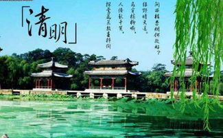 漫步苏堤，清明时节的诗意邂逅