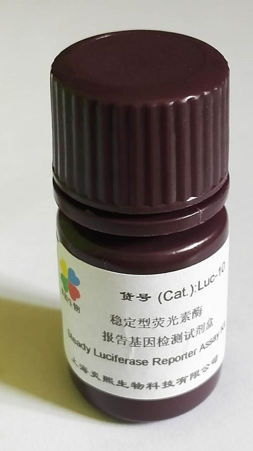 探索生命科学：常用样本与萤火虫荧光素酶检测试剂盒的奇妙结合