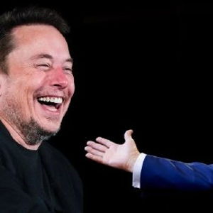 白宫澄清：马斯克只是总统顾问，无决策权