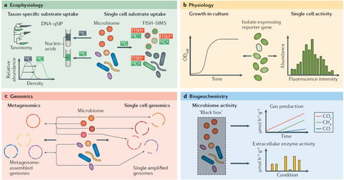 单细胞比例分析：从小白到大神的进阶之路