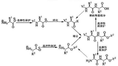 探索多肽合成Acetyl Tetrapeptide-15：928007-64-1的秘密之旅