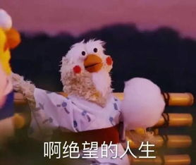 孩子，我想对你说：那次新奇的体验改变了我们