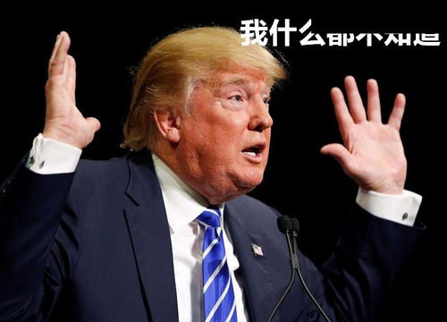 特朗普嘲讽事件：喜剧与政治的边界在哪里？