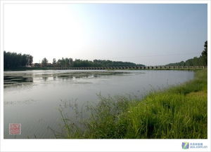 村头的小河：流淌在记忆深处的乡愁