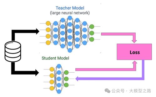 AI领域的「蒸馏」到底是什么？一个普通人也能懂的解释