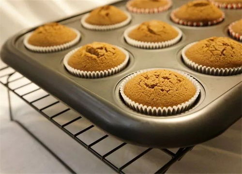 奥利奥的奇妙旅程：从早餐到生活中的小确幸