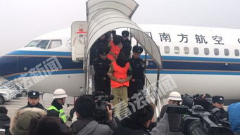 包机抵达！200名妙瓦底诈骗犯被押解回国，背后的故事令人深思