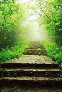 碧潭边的北美风光：一场与自然的诗意邂逅