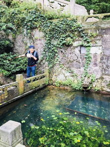 杭州韬光寺探秘｜北高峰顶流日间打卡全指南
