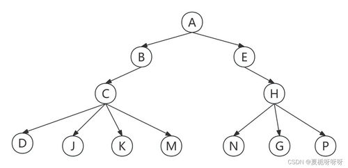 从零开始，带你读懂二叉树理论