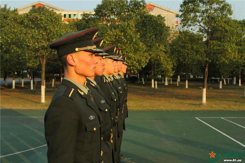 因高颜值走红网络的兵哥哥：大凉山走出的帅气中士班长