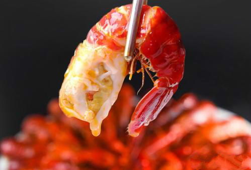 市面上那么多种虾，哪种虾才是你的最爱？