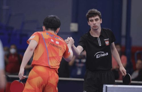 张本智和虽败犹荣：球迷热情送礼背后的故事