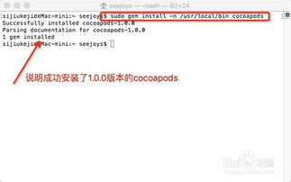 CocoaPods安装之路：清除重装的那些事儿