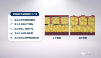 桑黄多糖：逆转肿瘤帮凶，狙击黑色素瘤转移的秘密武器